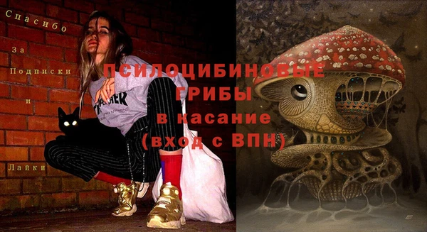 кокаин премиум Каменногорск